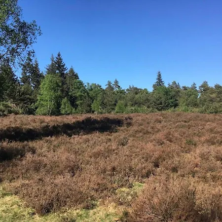 Cozy And Spacious Holiday Home, Quiet Area, Kids For Free *